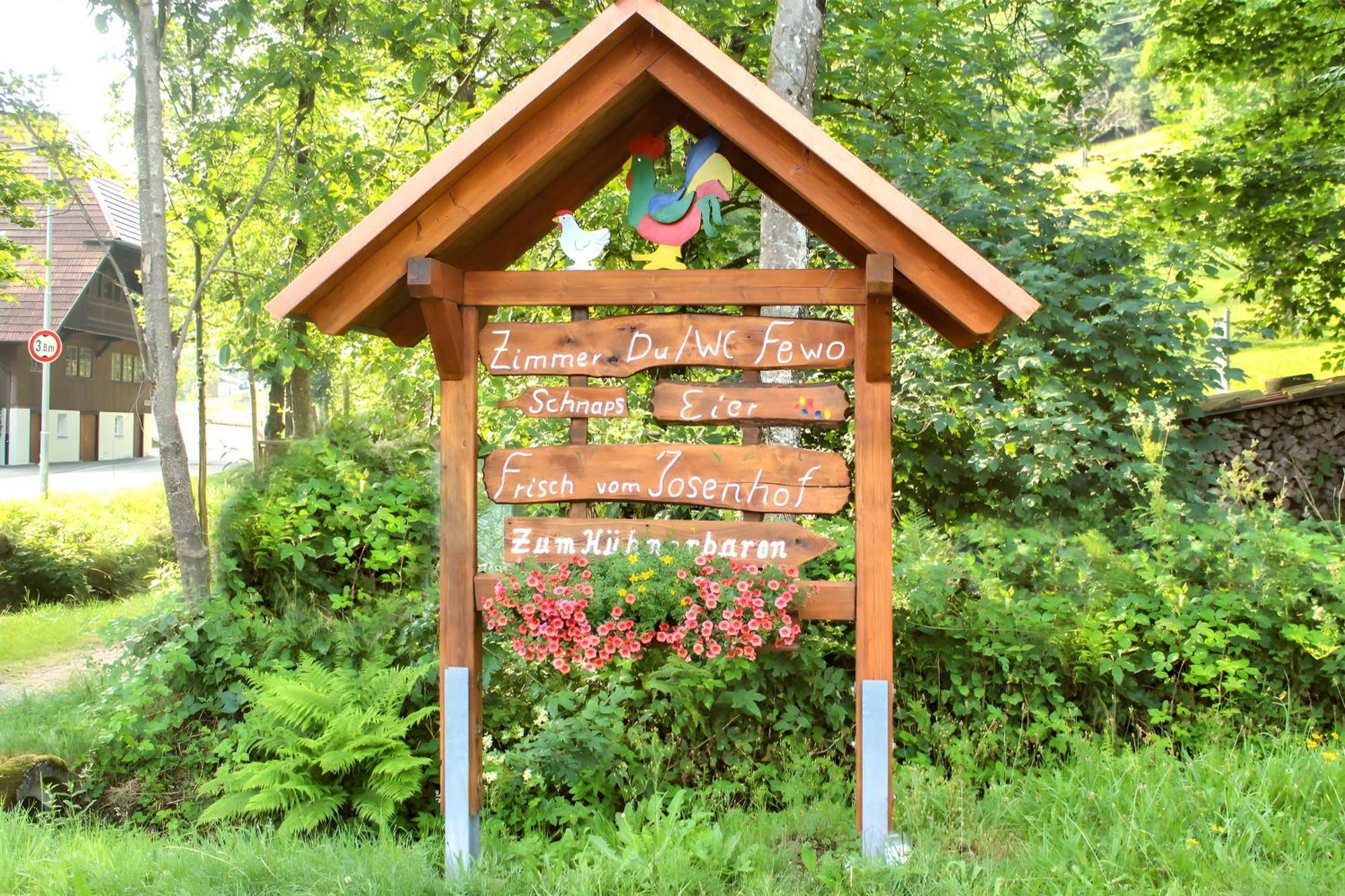 Hotel Josenhof Wolfach Zewnętrze zdjęcie