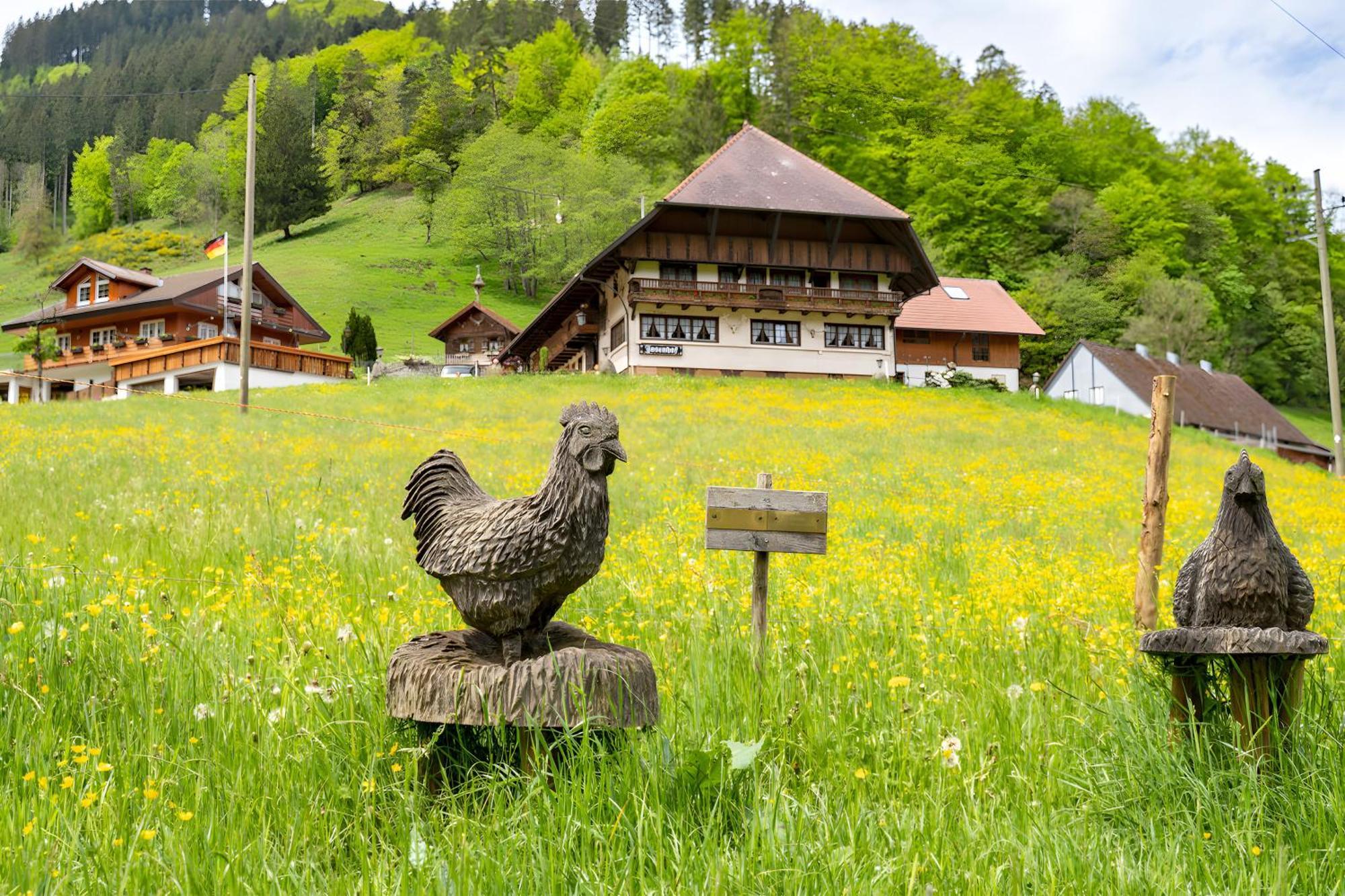Hotel Josenhof Wolfach Zewnętrze zdjęcie